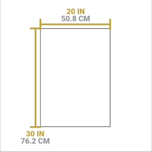 Not Old School Well Seasoned Lodge Dish Towel