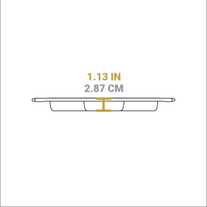 Seasoned Cast Iron Mini Cake Pan