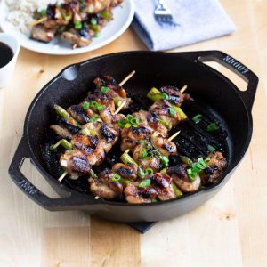 Dual Handle Cast Iron Grill Pan